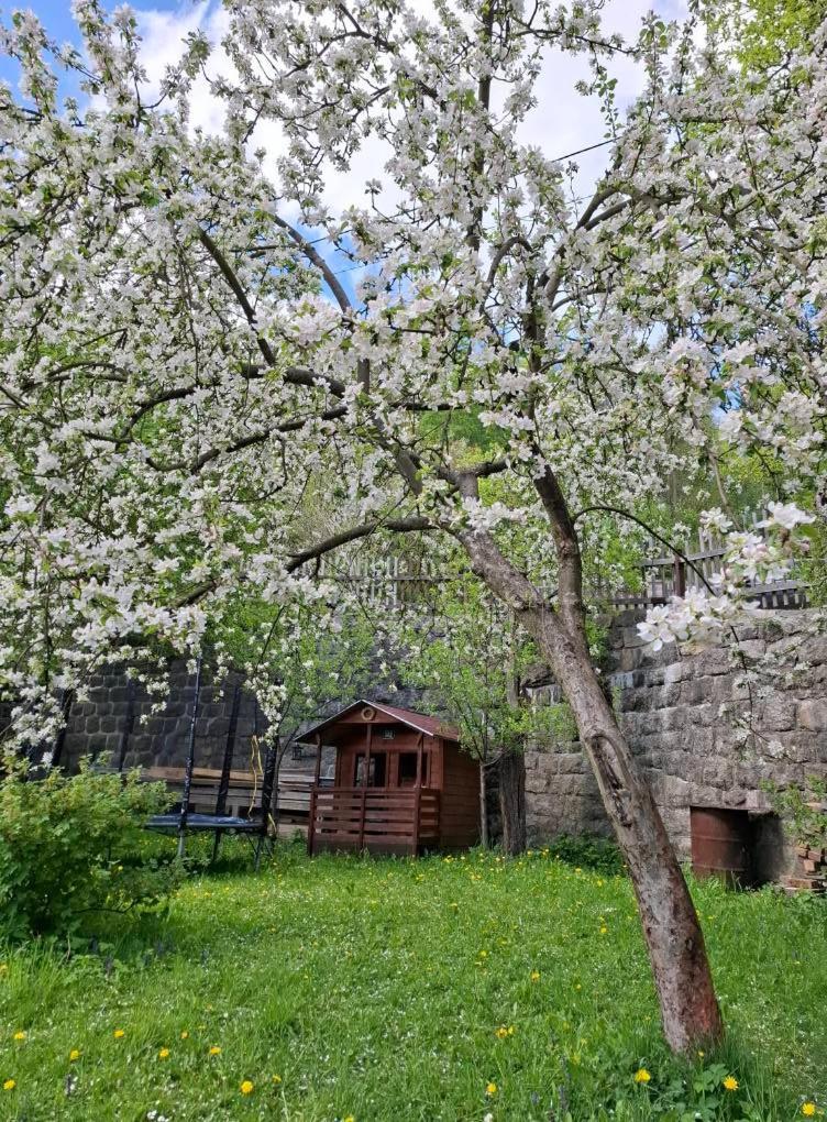 House Vedle Вилла Десна